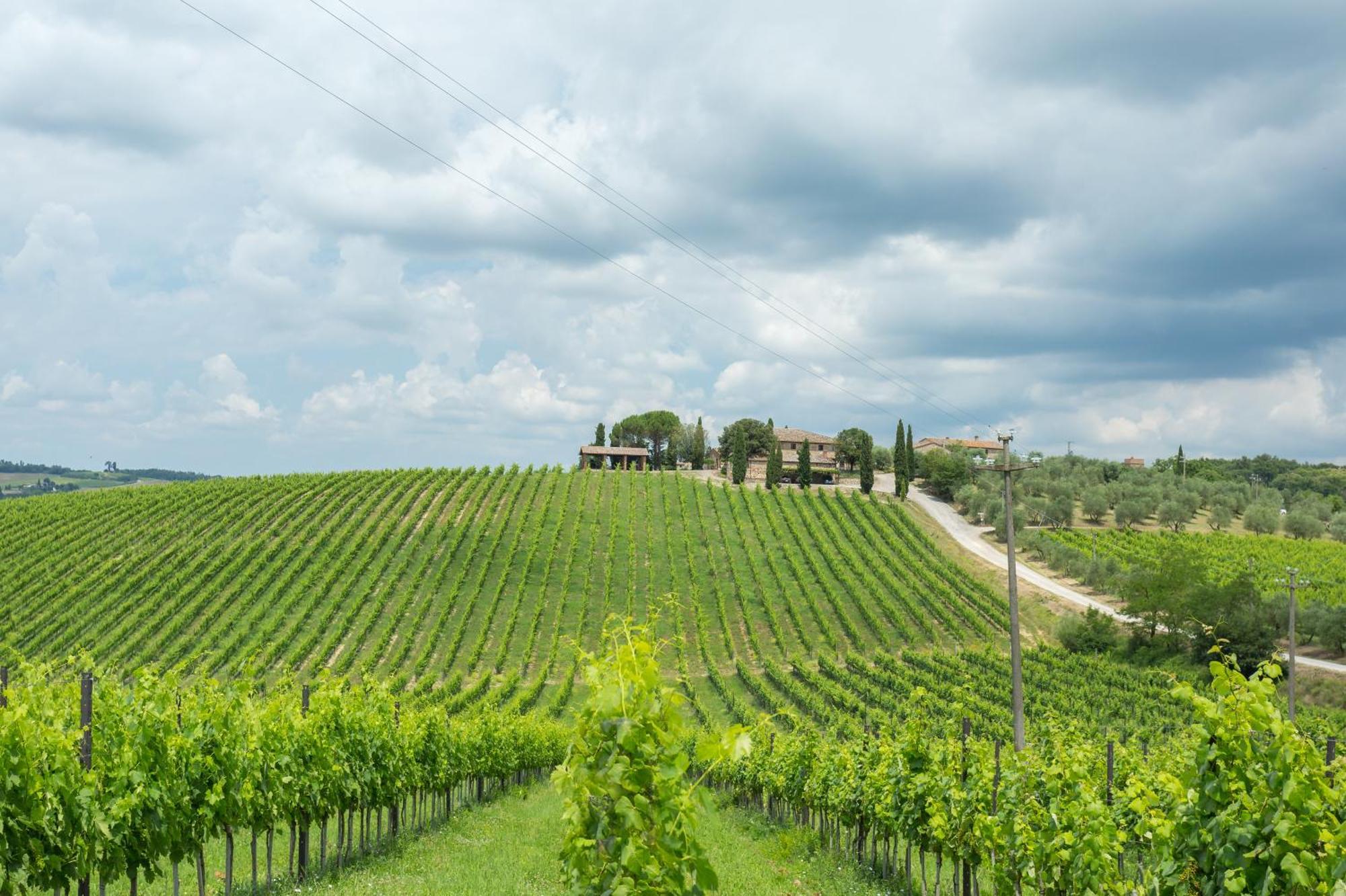 Tenuta Di Monaciano Ponte A Bozzone Oda fotoğraf